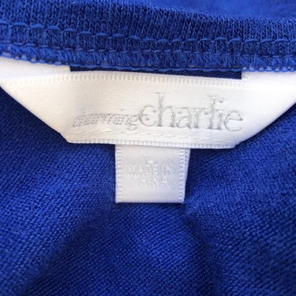 Royal Blue and Black Embroidery Lace Knit Dress - Picture 7 of 7